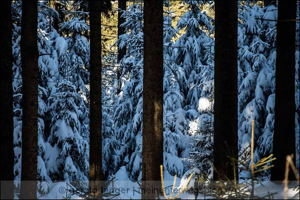 Canon EOS M3 sample photo. Oberhof 2017 photography