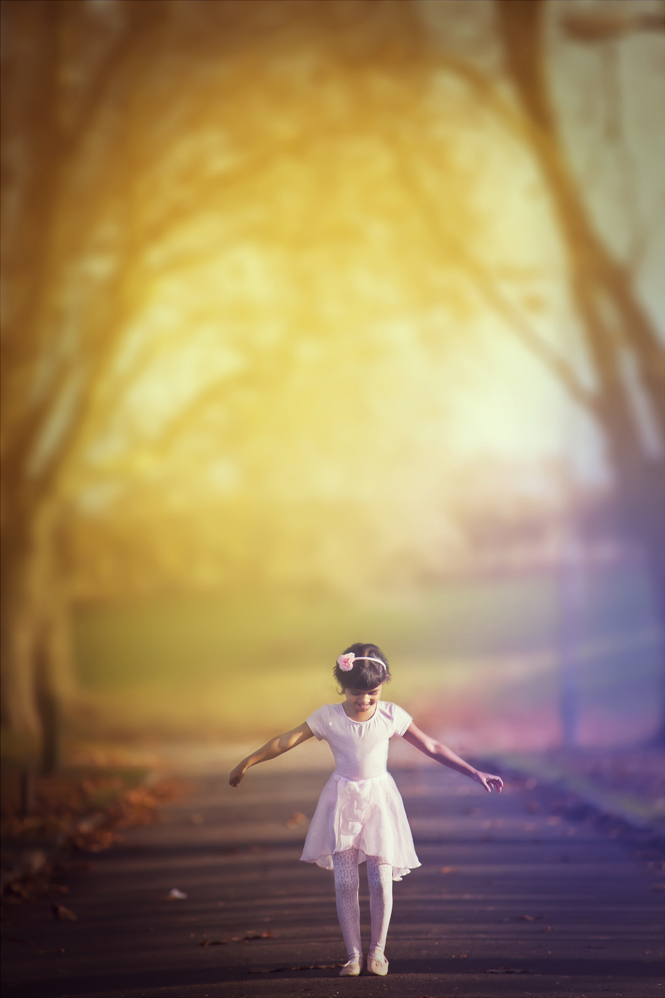 Sigma 70-200mm F2.8 EX DG OS HSM sample photo. A ballerina's dream photography