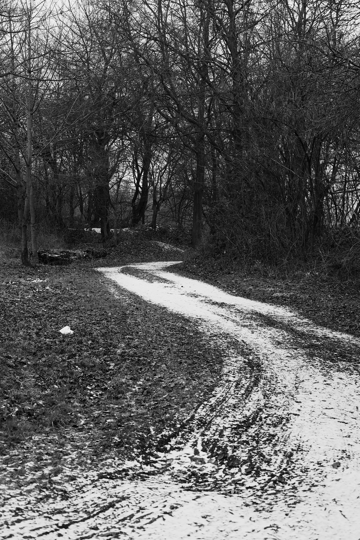 Fujifilm X-E1 + Fujifilm XF 35mm F2 R WR sample photo. Walking path in winter 2 photography