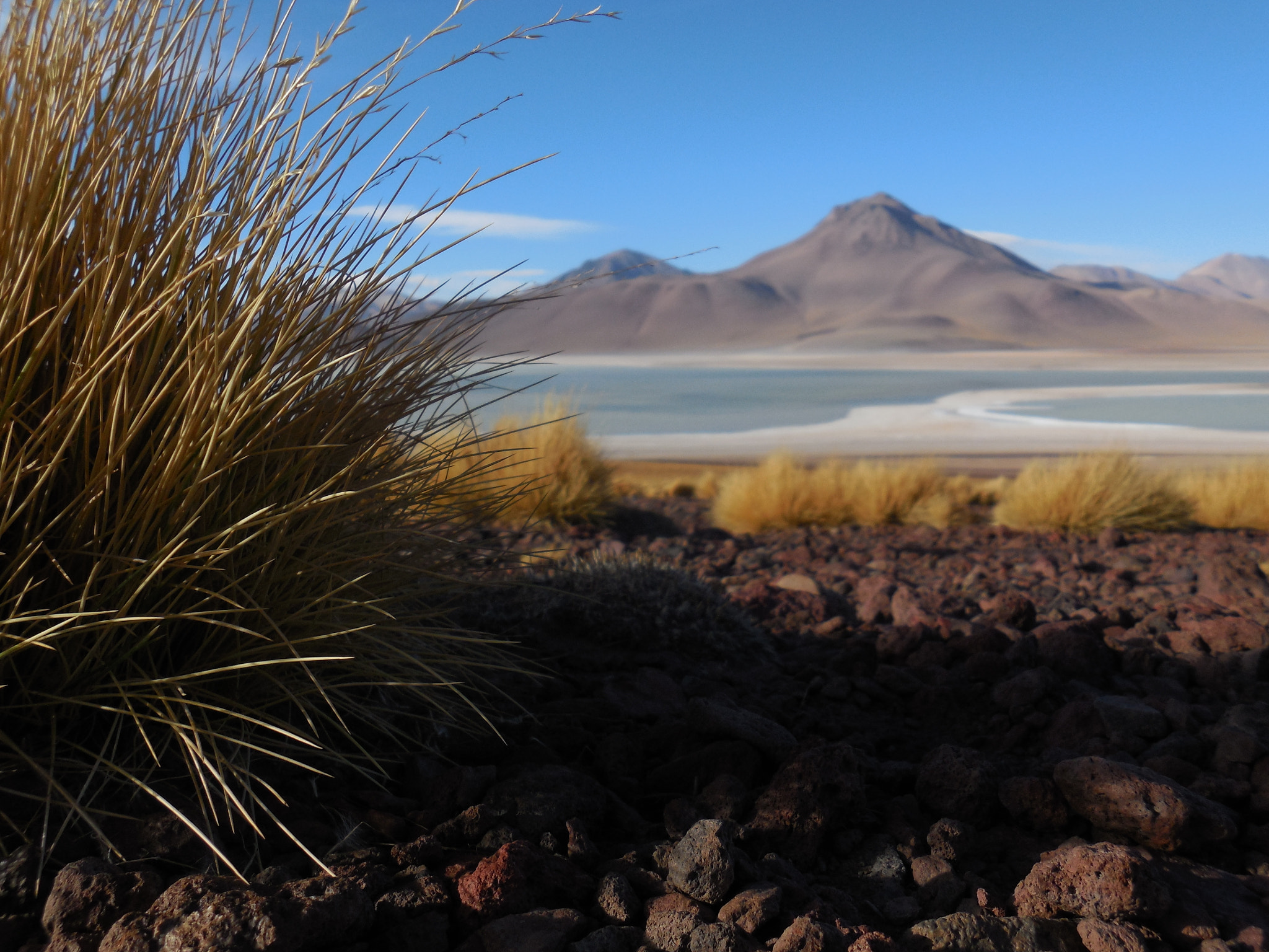 Nikon Coolpix S5200 sample photo. Laguna blanca, bolivia photography