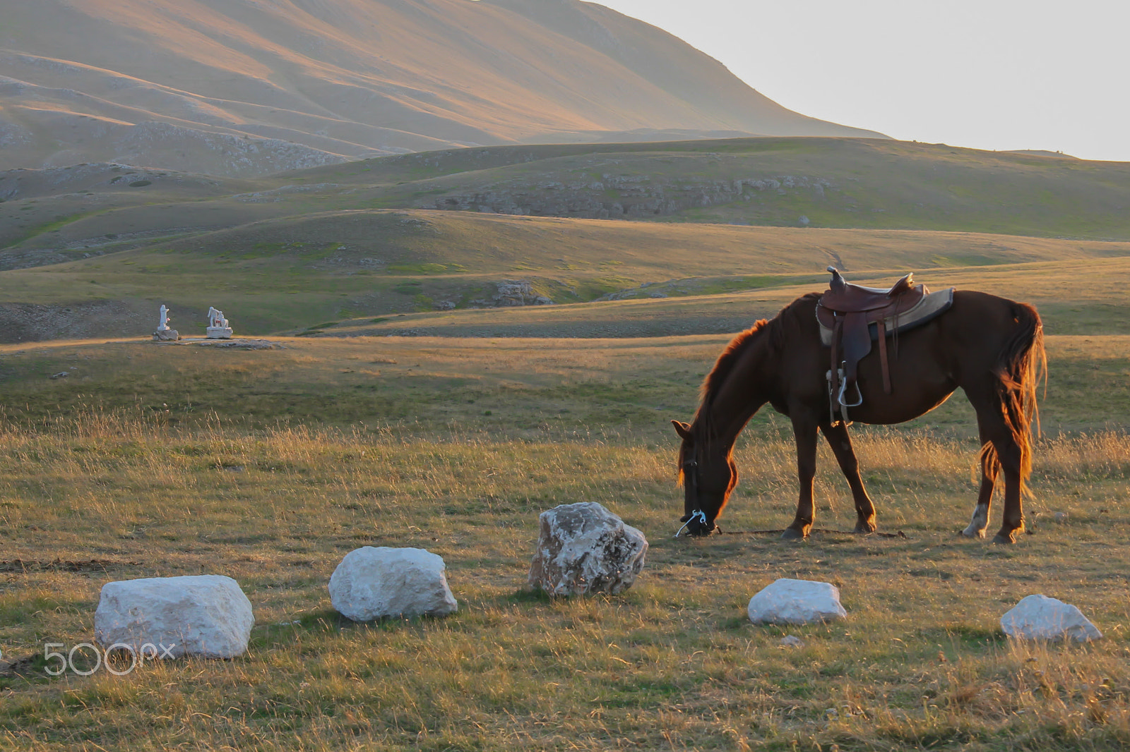 Canon EF-S 18-200mm F3.5-5.6 IS sample photo. Horse at ardent sunset photography