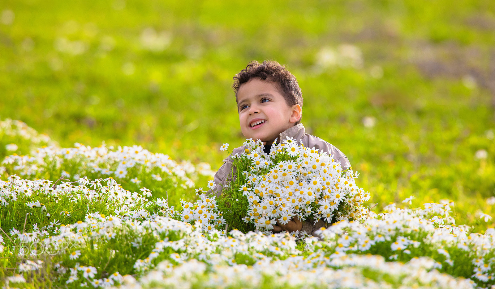 Canon EF 400mm F2.8L IS II USM sample photo. Le printemps arrive photography