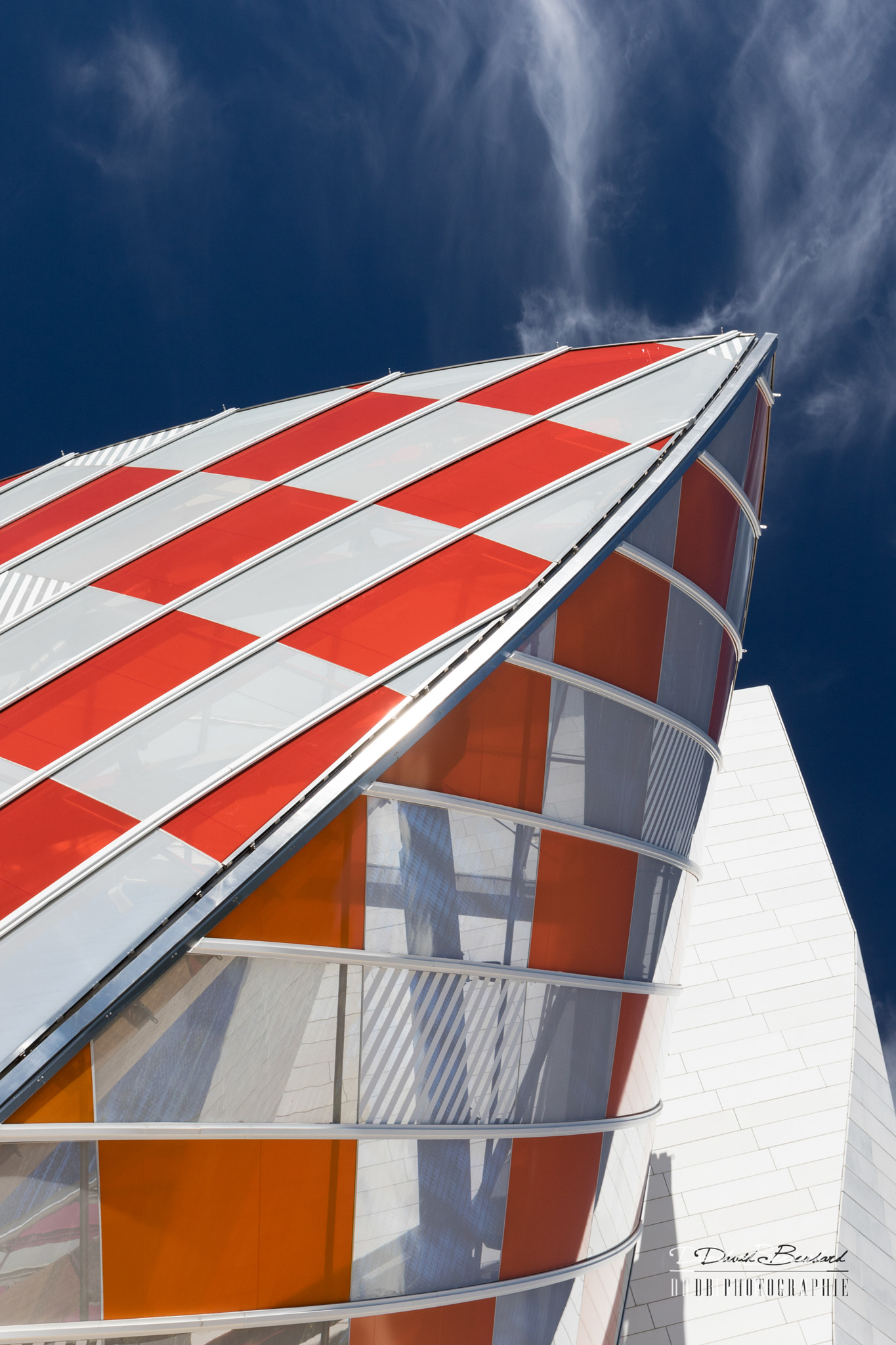 Canon EF 17-40mm F4L USM sample photo. Fondation louis vuitton photography