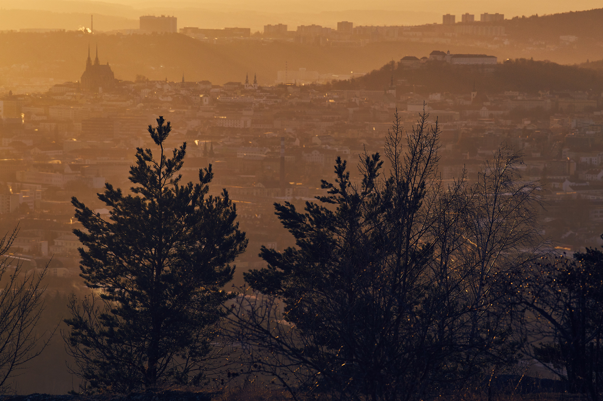 Canon EF 200mm F2.8L II USM sample photo. Sunset trees photography