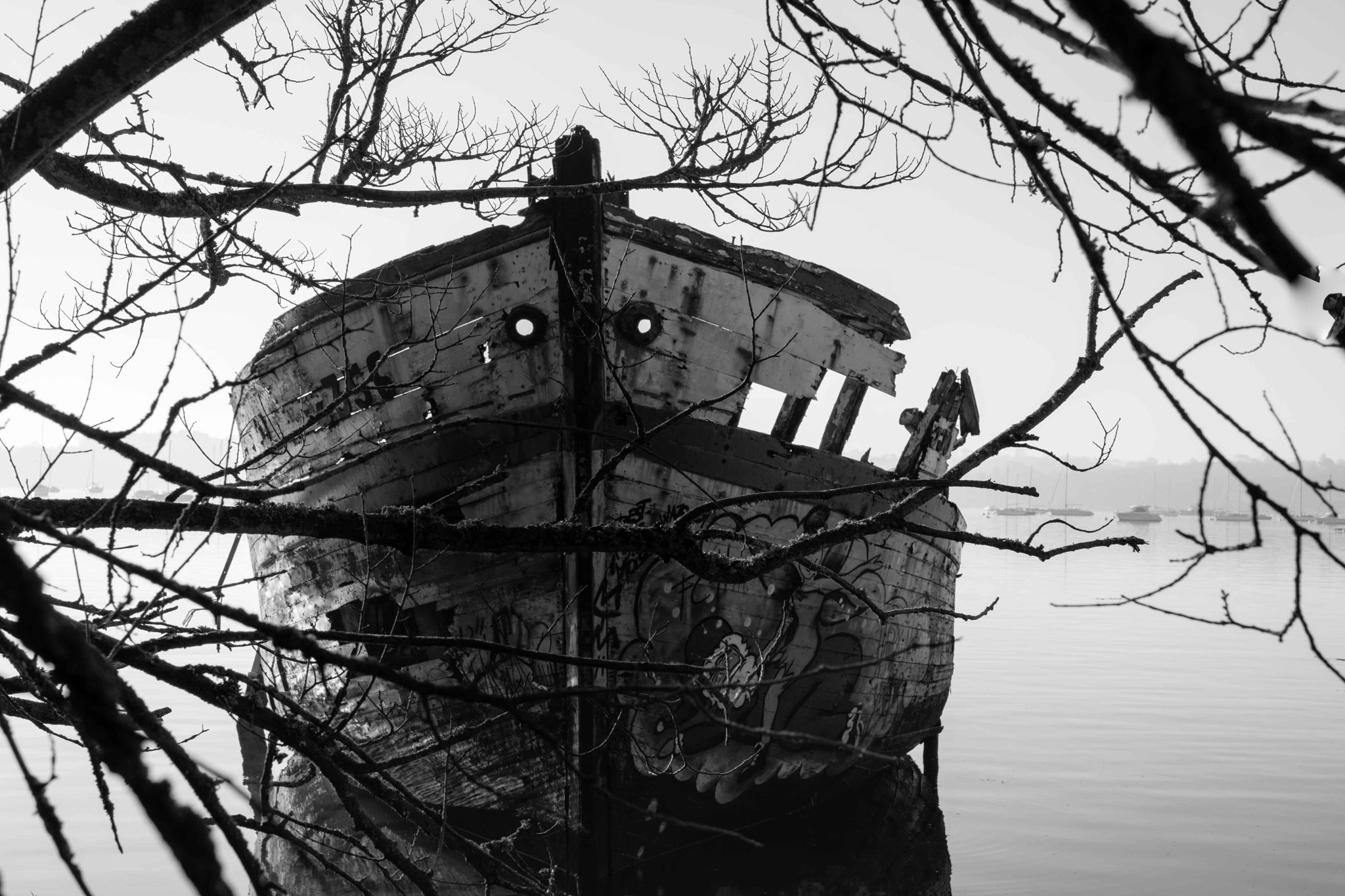 Nikon D5500 sample photo. Old ship 2 photography