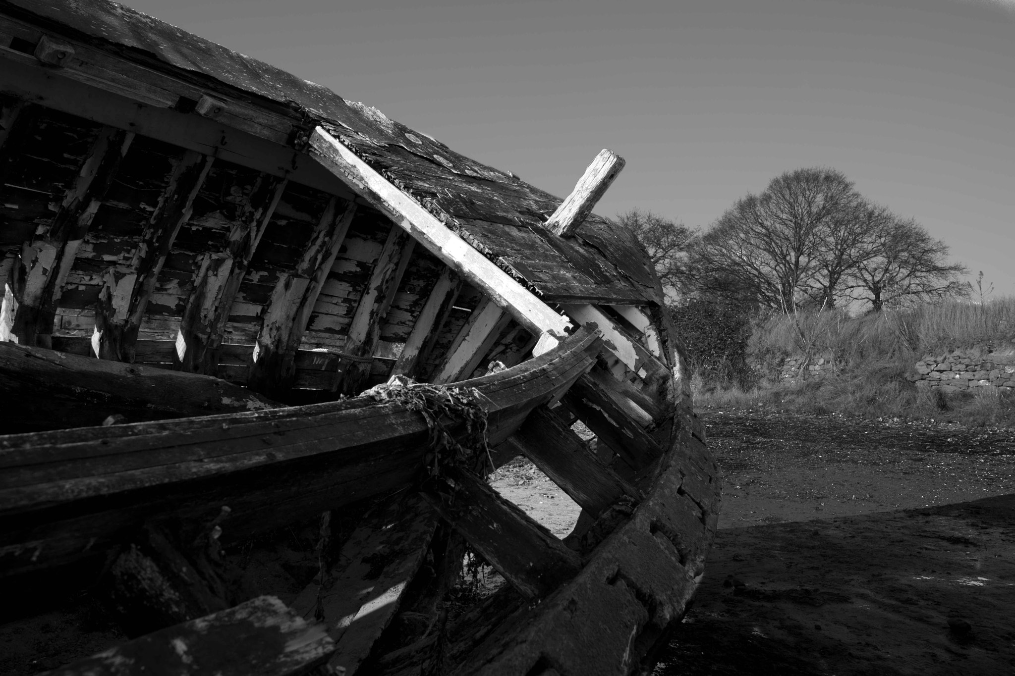 Nikon D5500 sample photo. Old ship 8 photography