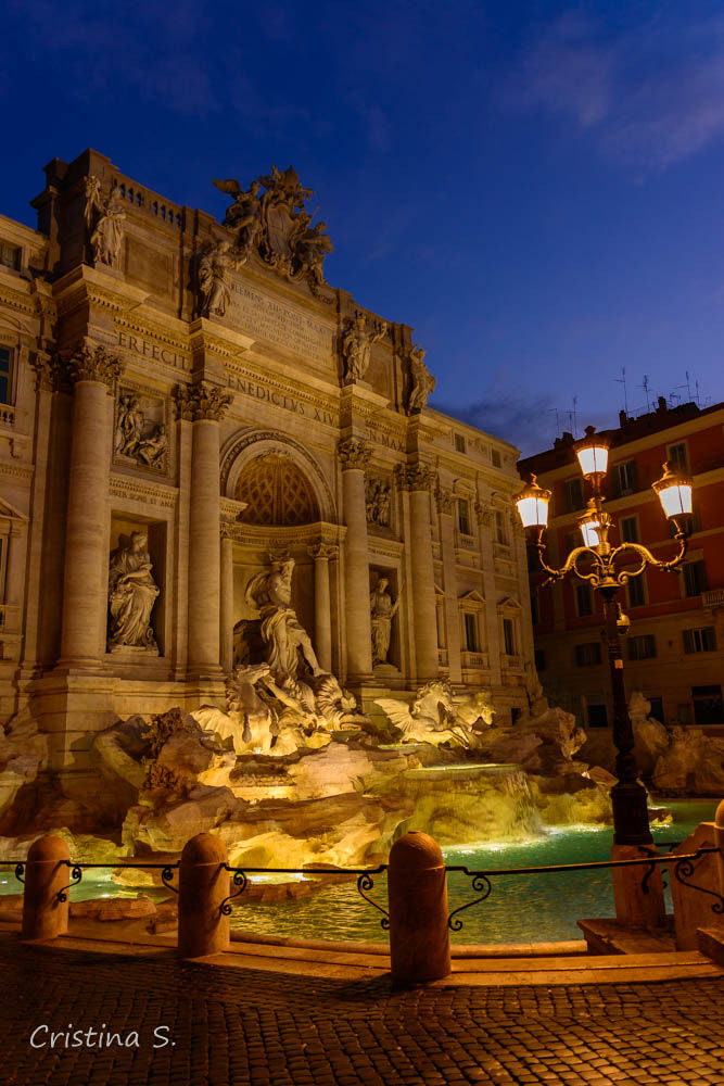 Nikon D5200 sample photo. Fontana di trevi photography