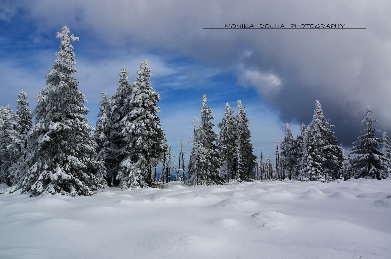 Sony Alpha NEX-6 sample photo. Winter photography