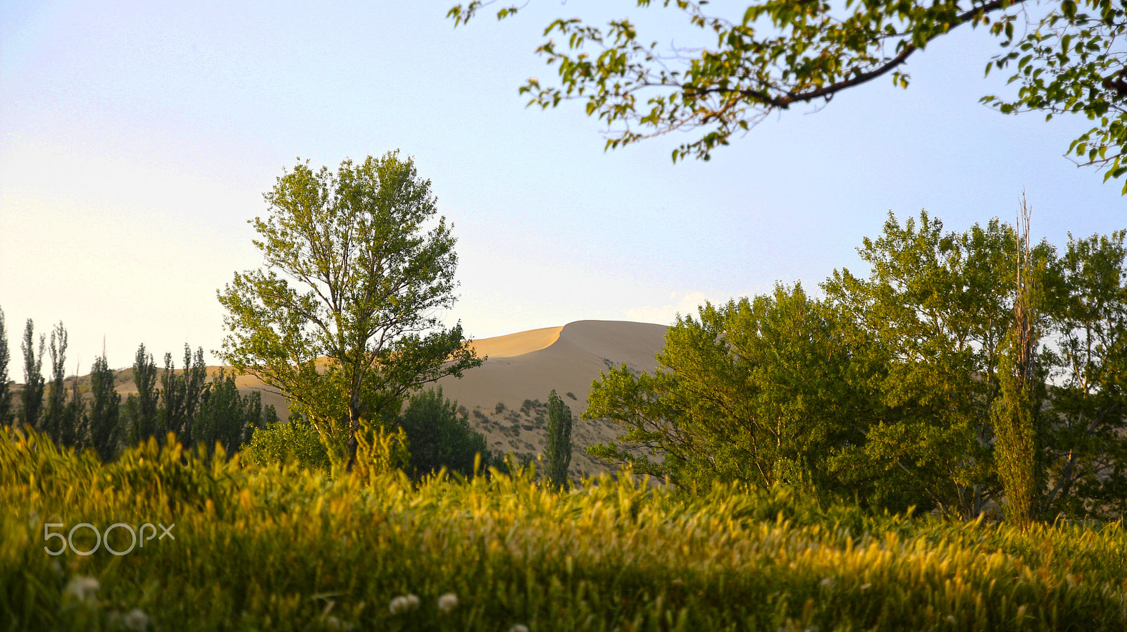 Canon EOS 60D sample photo. The top of the dune sarykoum. dagestan photography