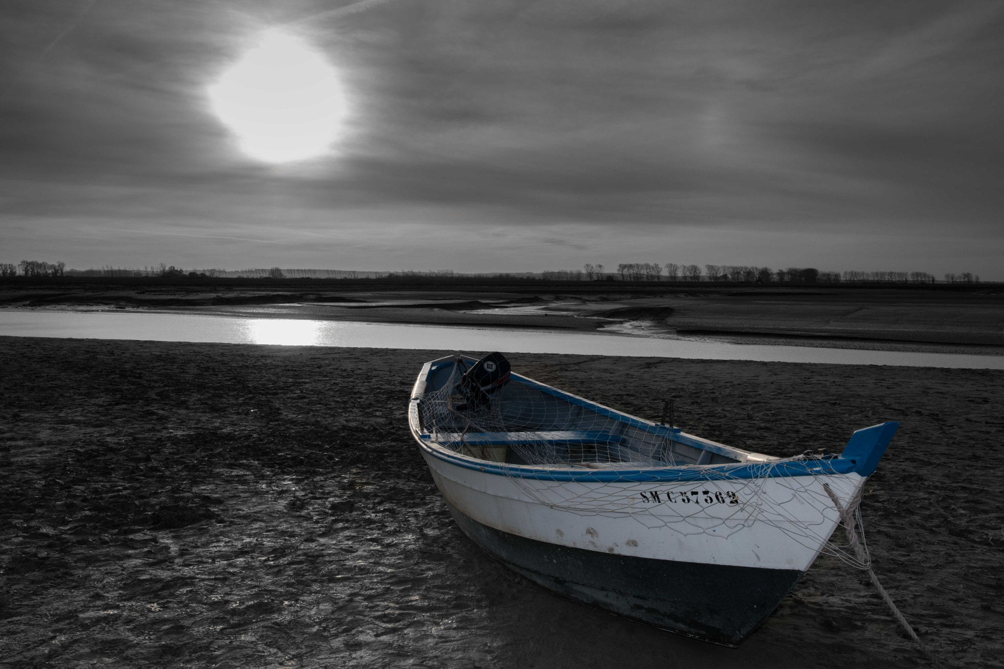 Nikon D5500 sample photo. Barque photography