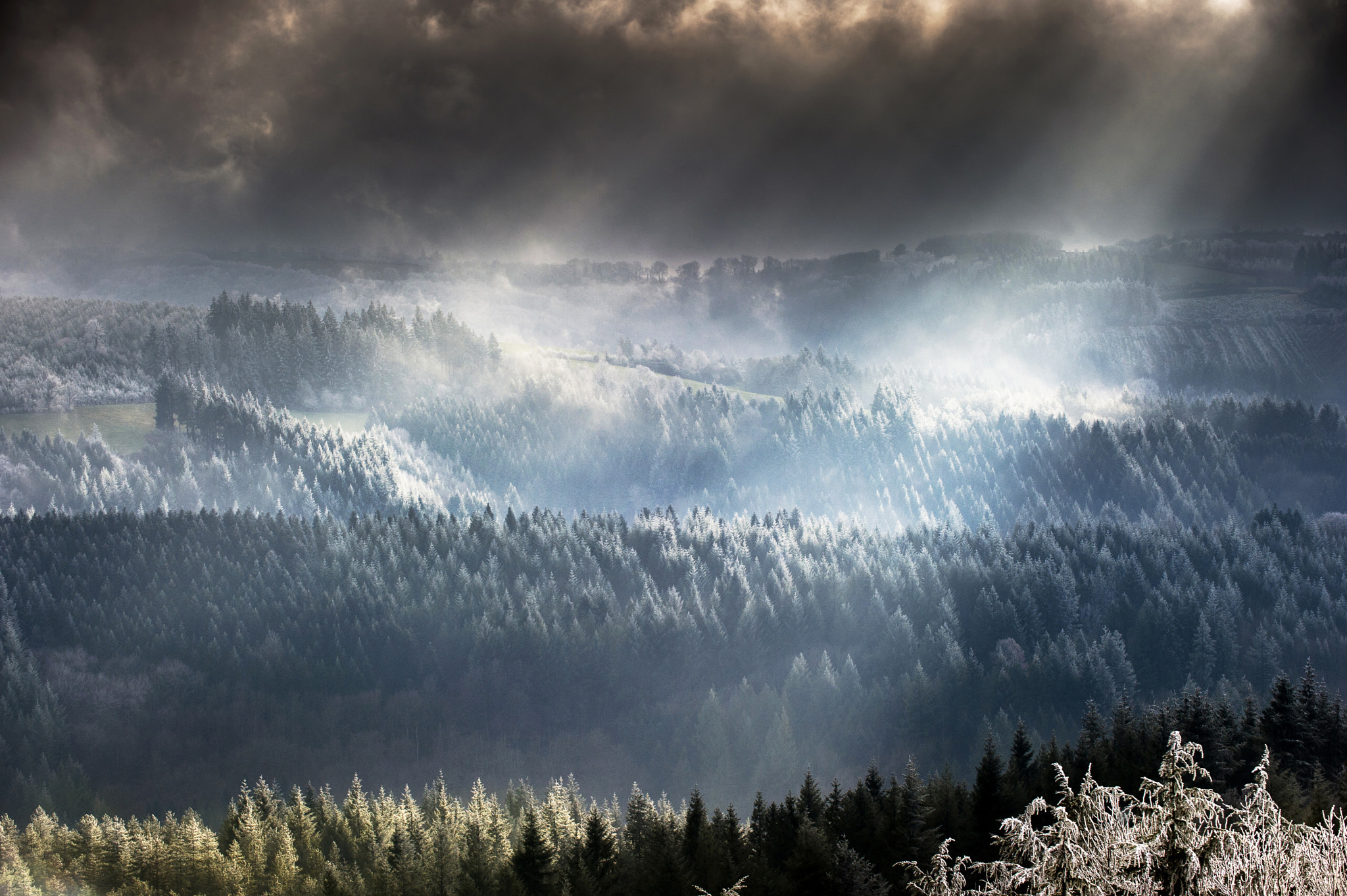 Nikon D3S sample photo. Winter lights photography