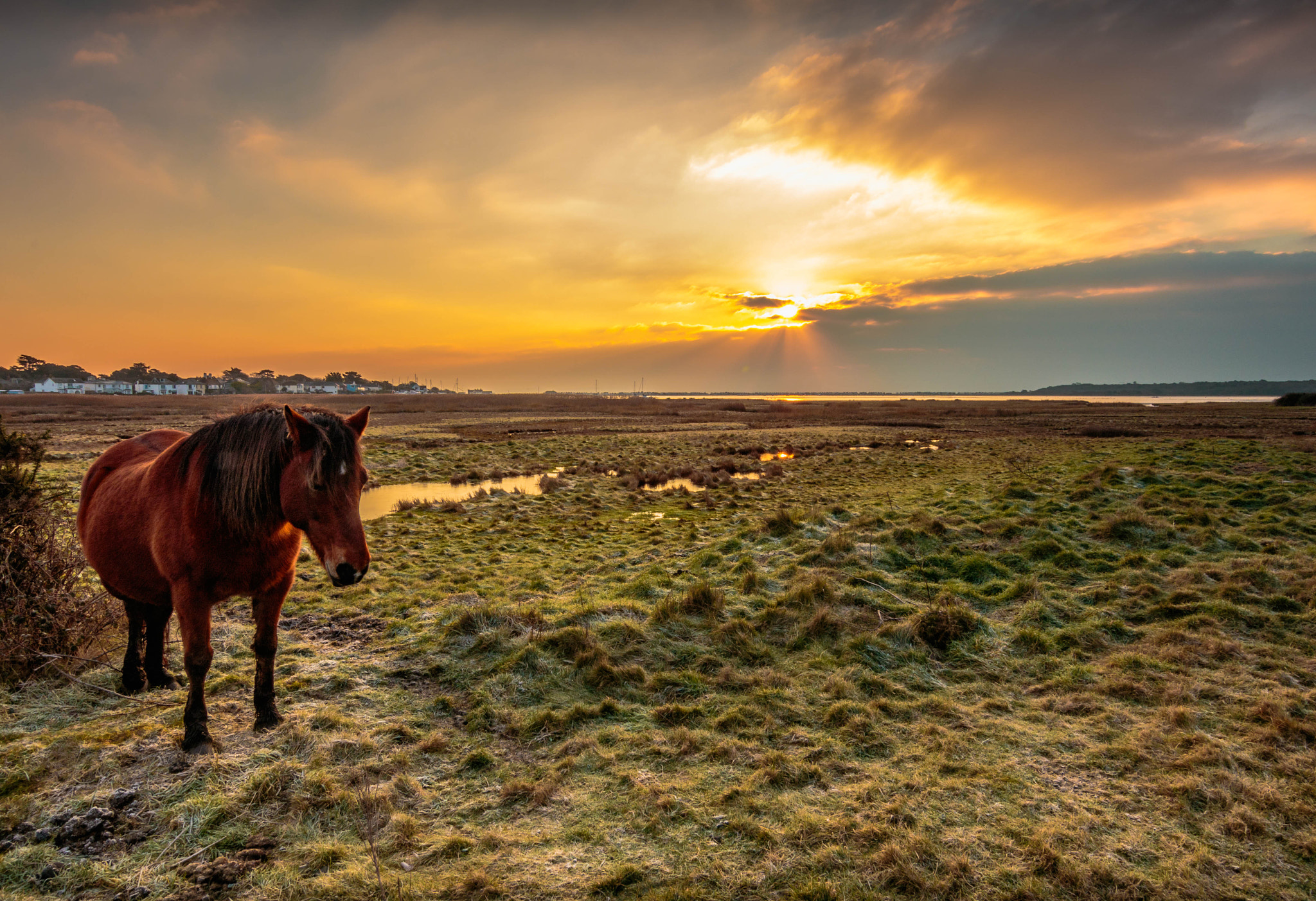 Sigma 10-20mm F3.5 EX DC HSM sample photo. Sunset few weeks ago photography