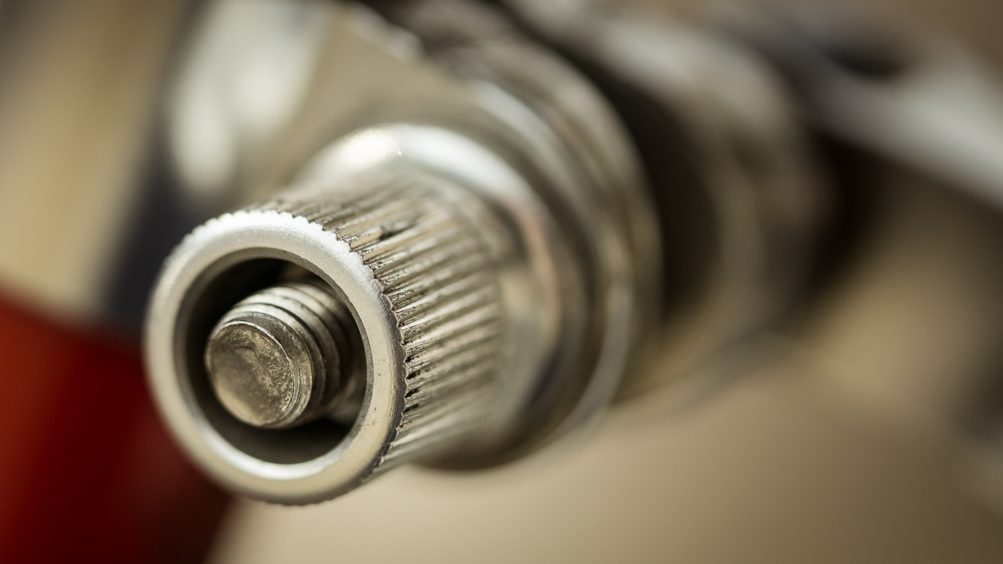 Sony a6000 + Sony FE 90mm F2.8 Macro G OSS sample photo. Adjustable... photography