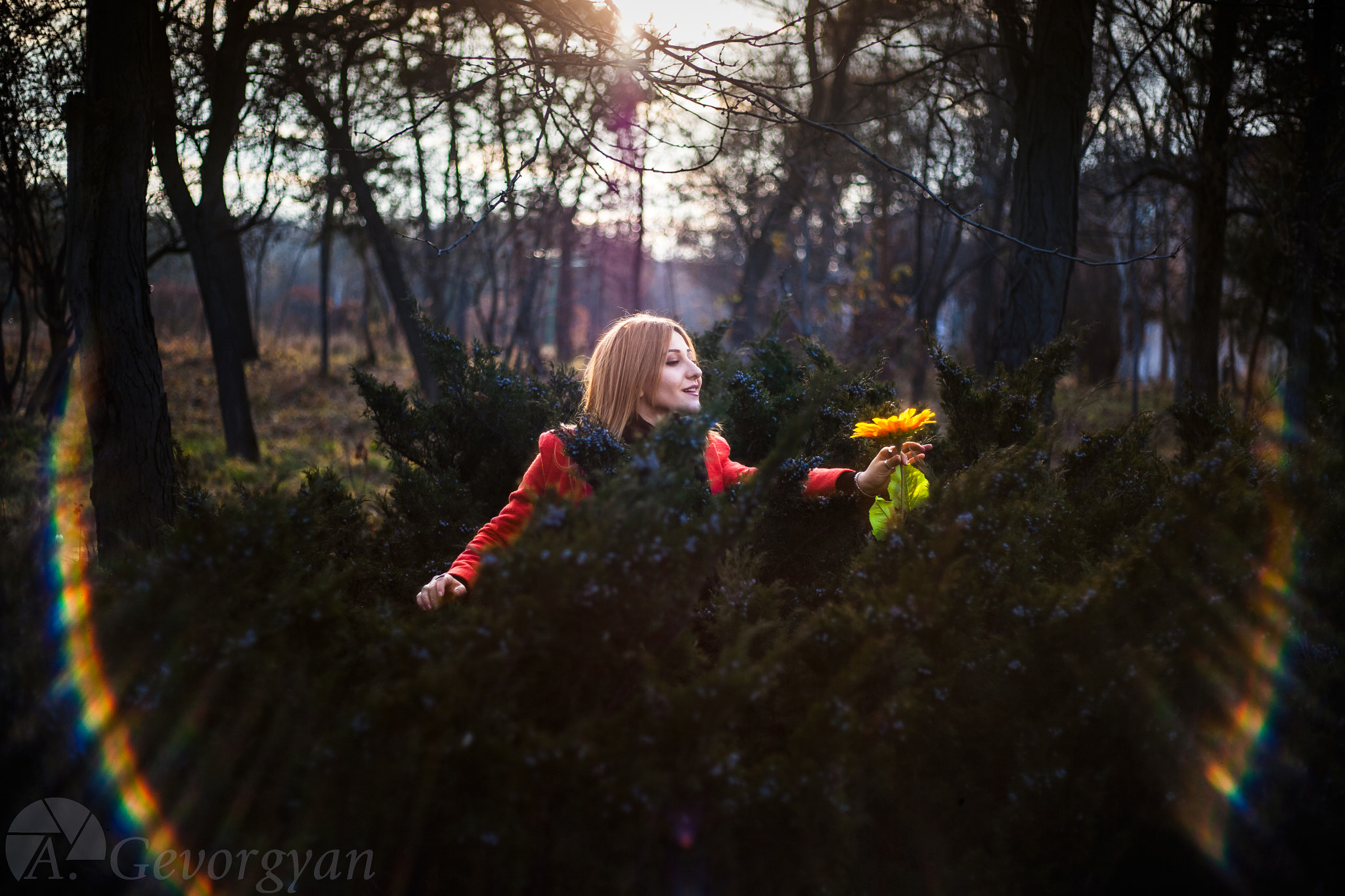 Canon EOS-1Ds Mark II sample photo. The sun photography