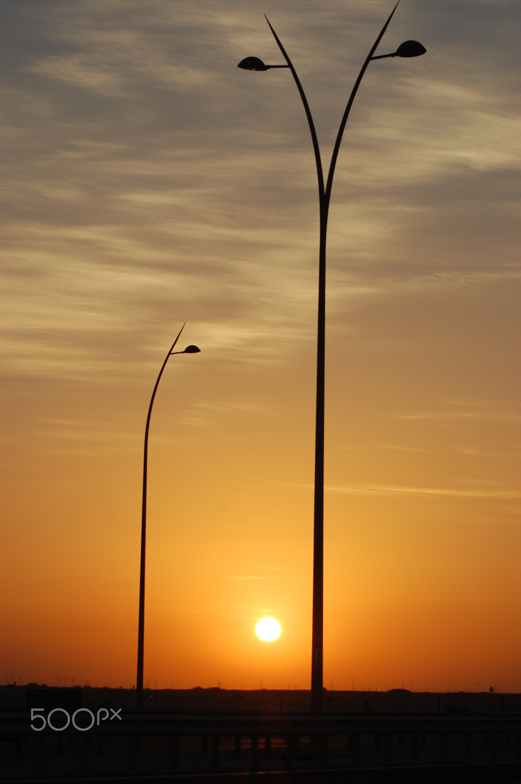 Nikon AF Nikkor 70-300mm F4-5.6G sample photo. Golden light photography