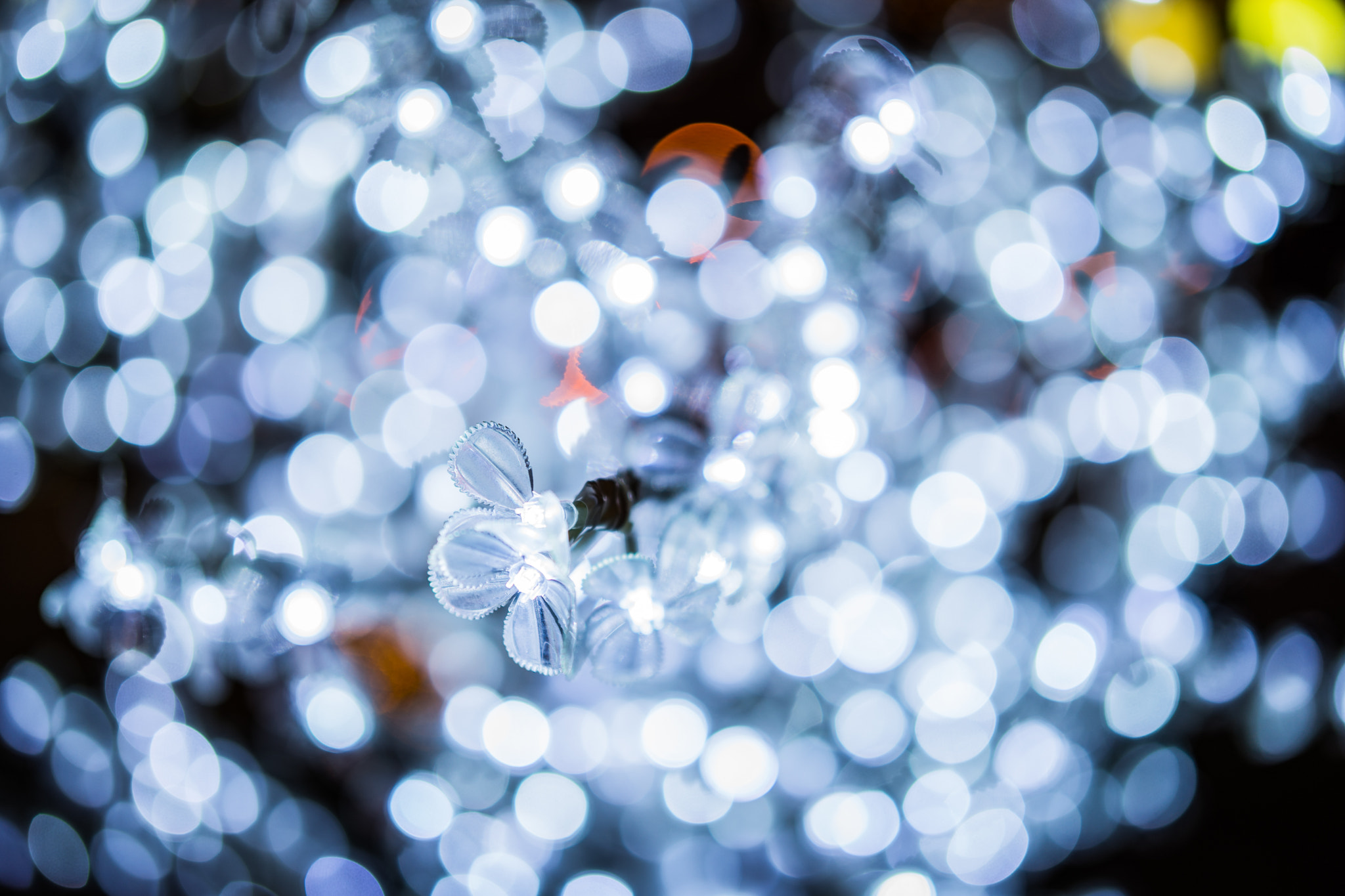 Sony Planar T* FE 50mm F1.4 ZA sample photo. Bokeh lights photography