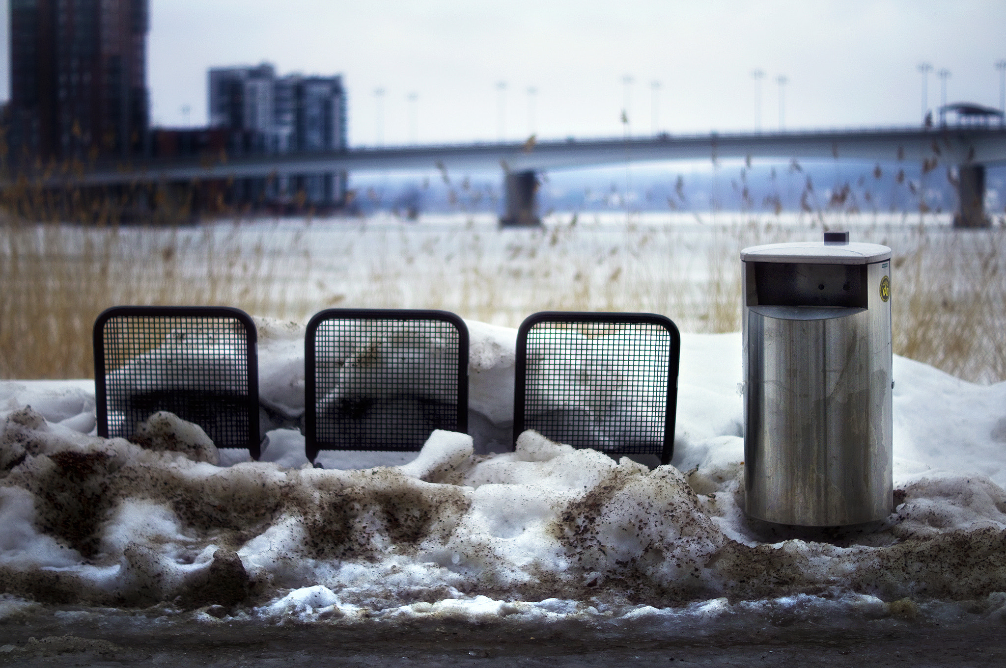 Sony SLT-A37 + Sony DT 50mm F1.8 SAM sample photo. Bench photography