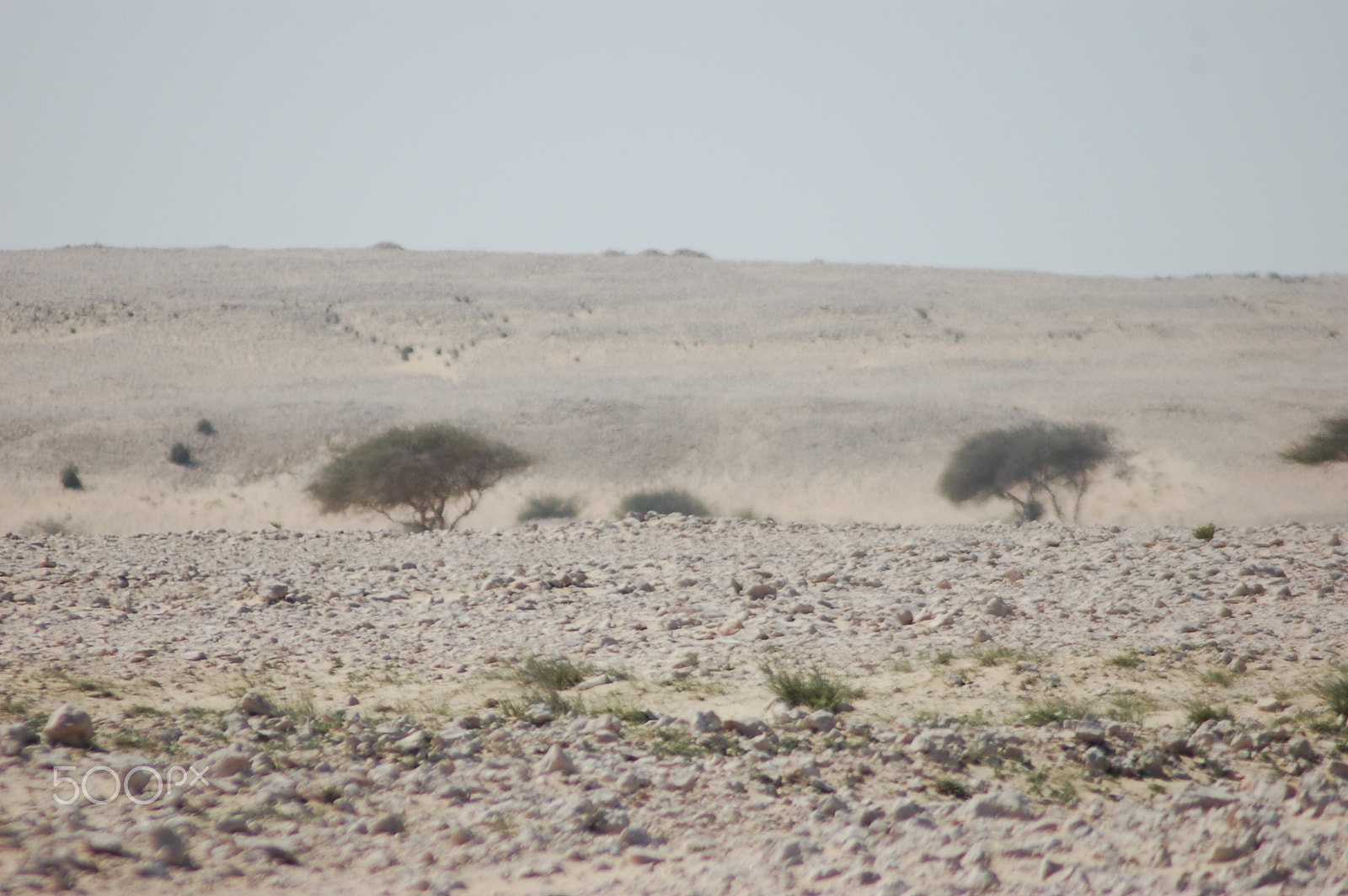 Nikon AF Nikkor 70-300mm F4-5.6G sample photo. Acacia trees in the distance... photography