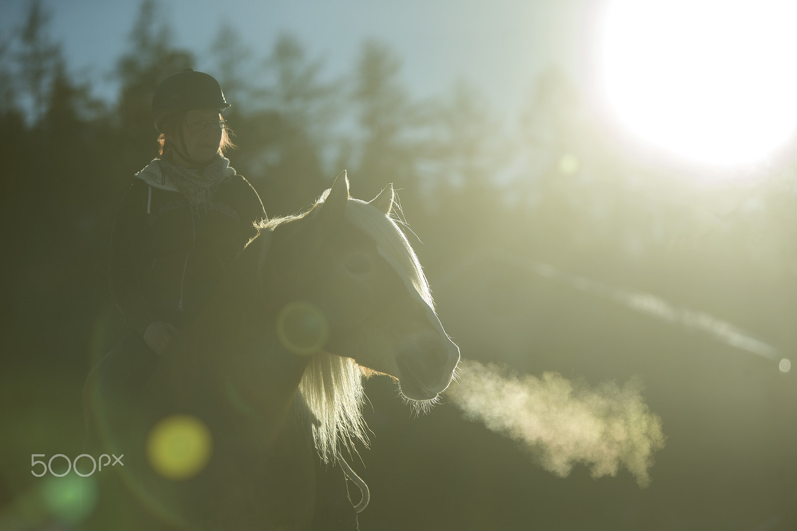 Canon EOS-1D X sample photo. Winterdream photography