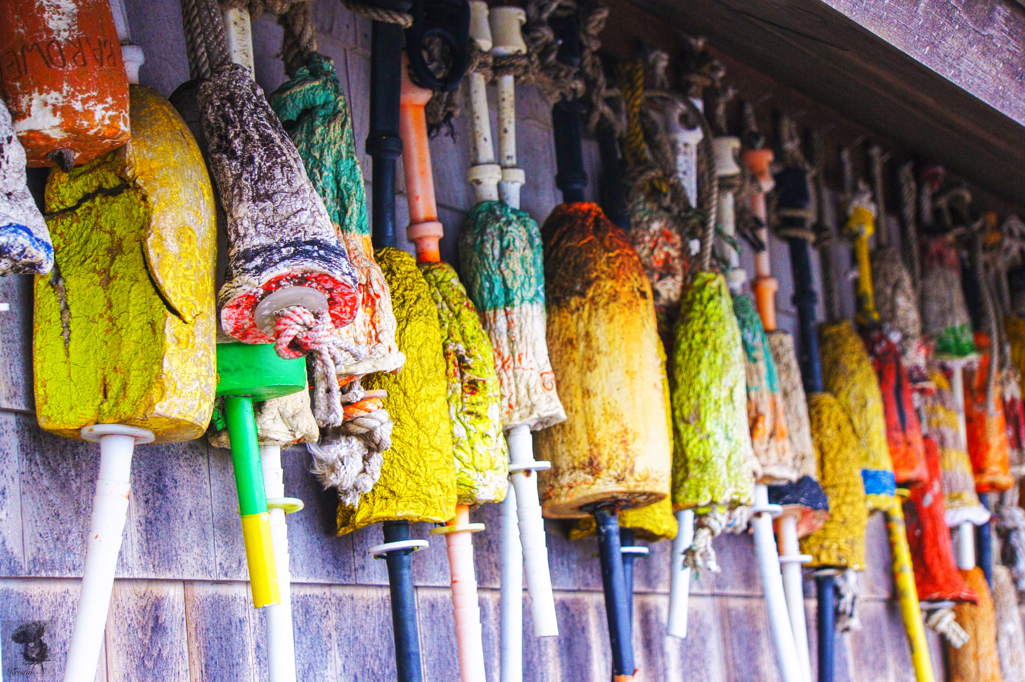 Sony Alpha NEX-3 sample photo. Buoys photography