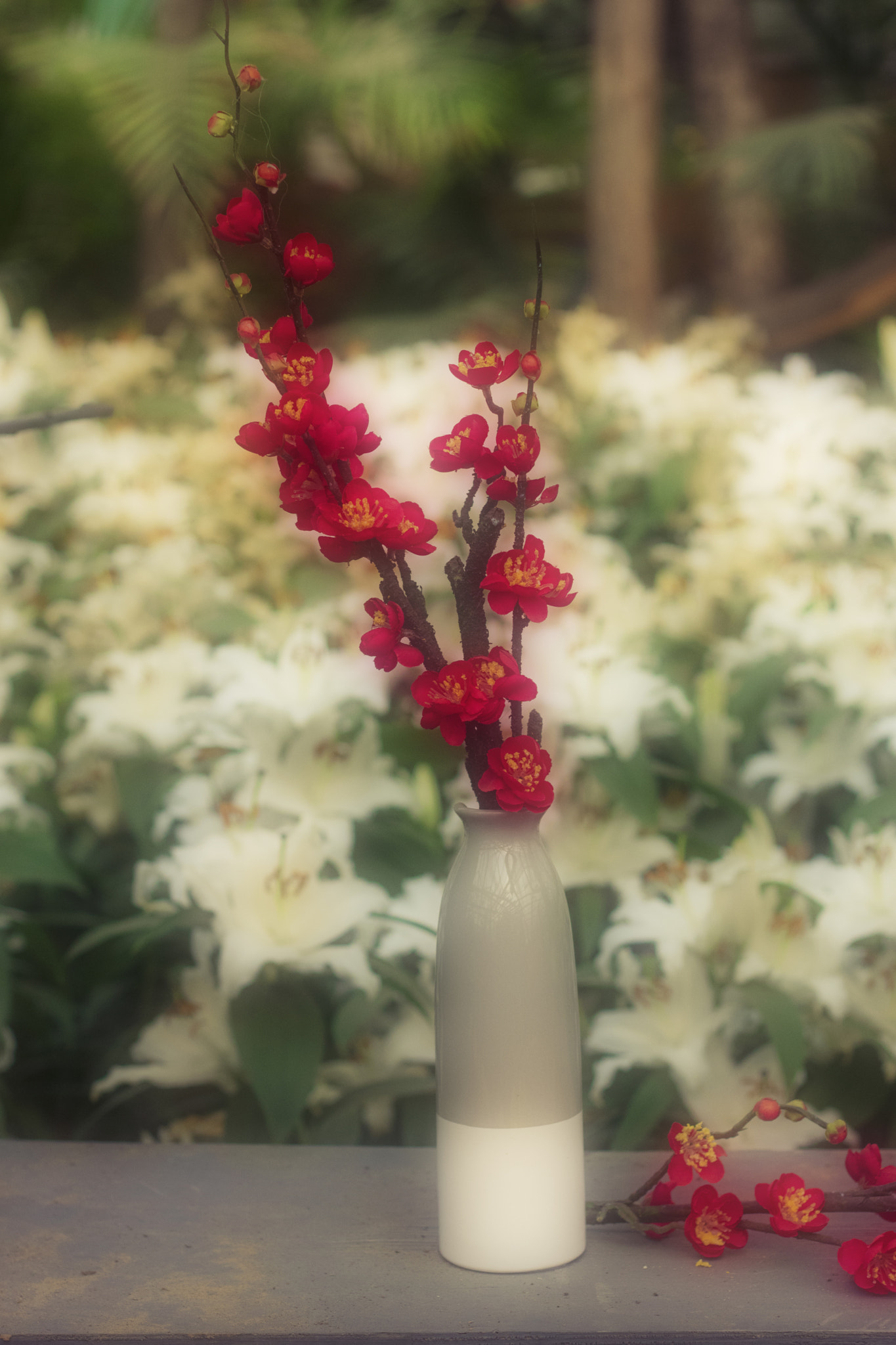 Canon EOS 760D (EOS Rebel T6s / EOS 8000D) + Canon EF 50mm F1.8 II sample photo. Img photography