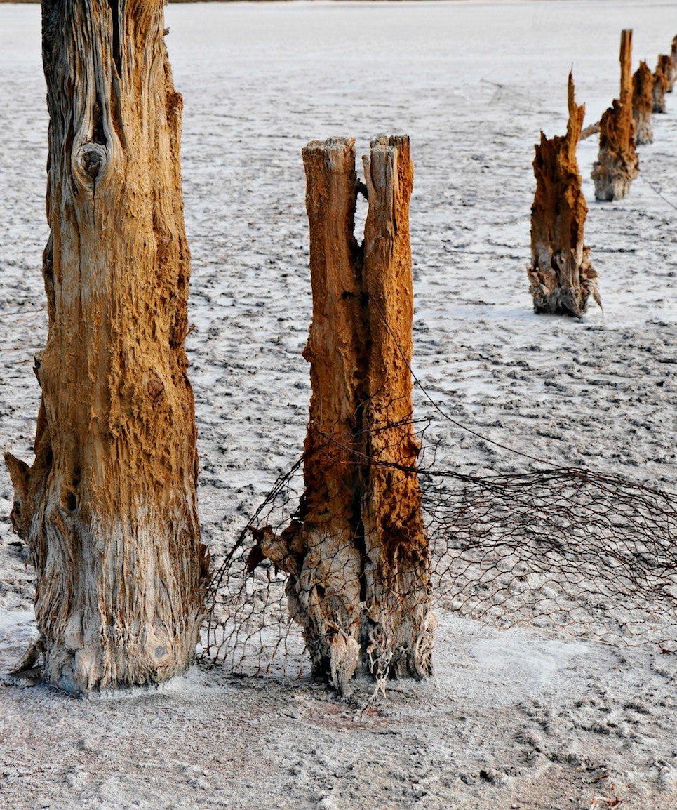Panasonic Lumix G X Vario 35-100mm F2.8 OIS sample photo. Salt lake 2 photography