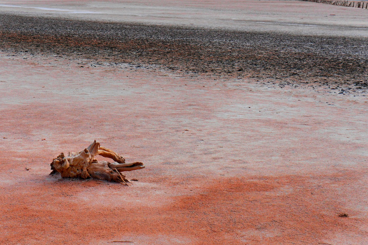 Panasonic Lumix G X Vario 35-100mm F2.8 OIS sample photo. Salt lake 1 photography