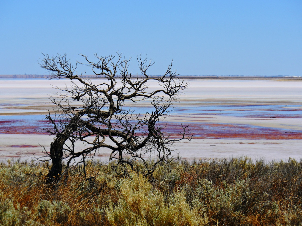 Panasonic Lumix G X Vario 35-100mm F2.8 OIS sample photo. Salt lake 5 photography