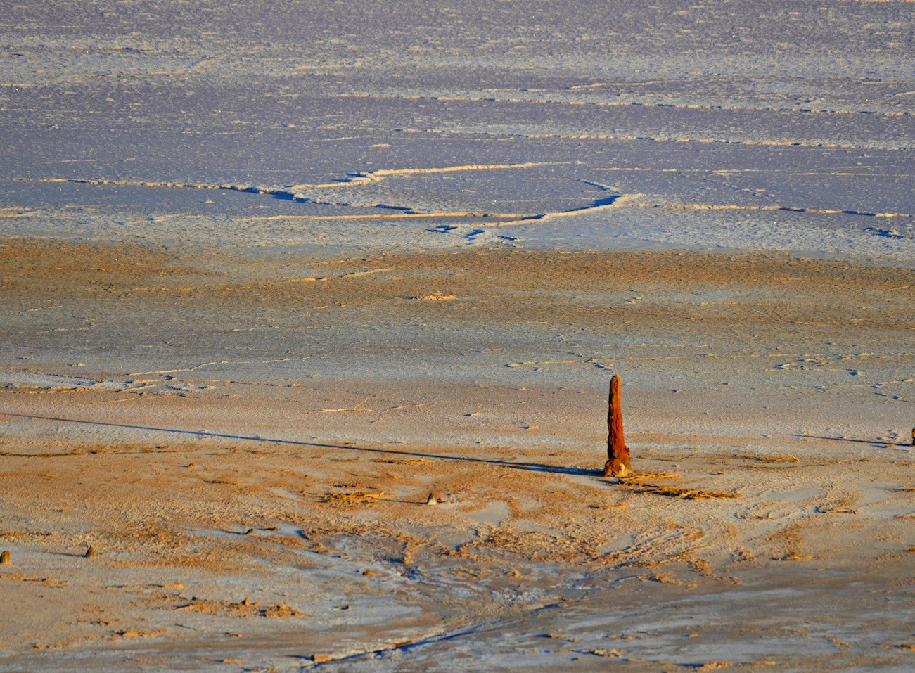 Panasonic Lumix DMC-GH4 + LEICA DG 100-400/F4.0-6.3 sample photo. Salt lake 9 photography