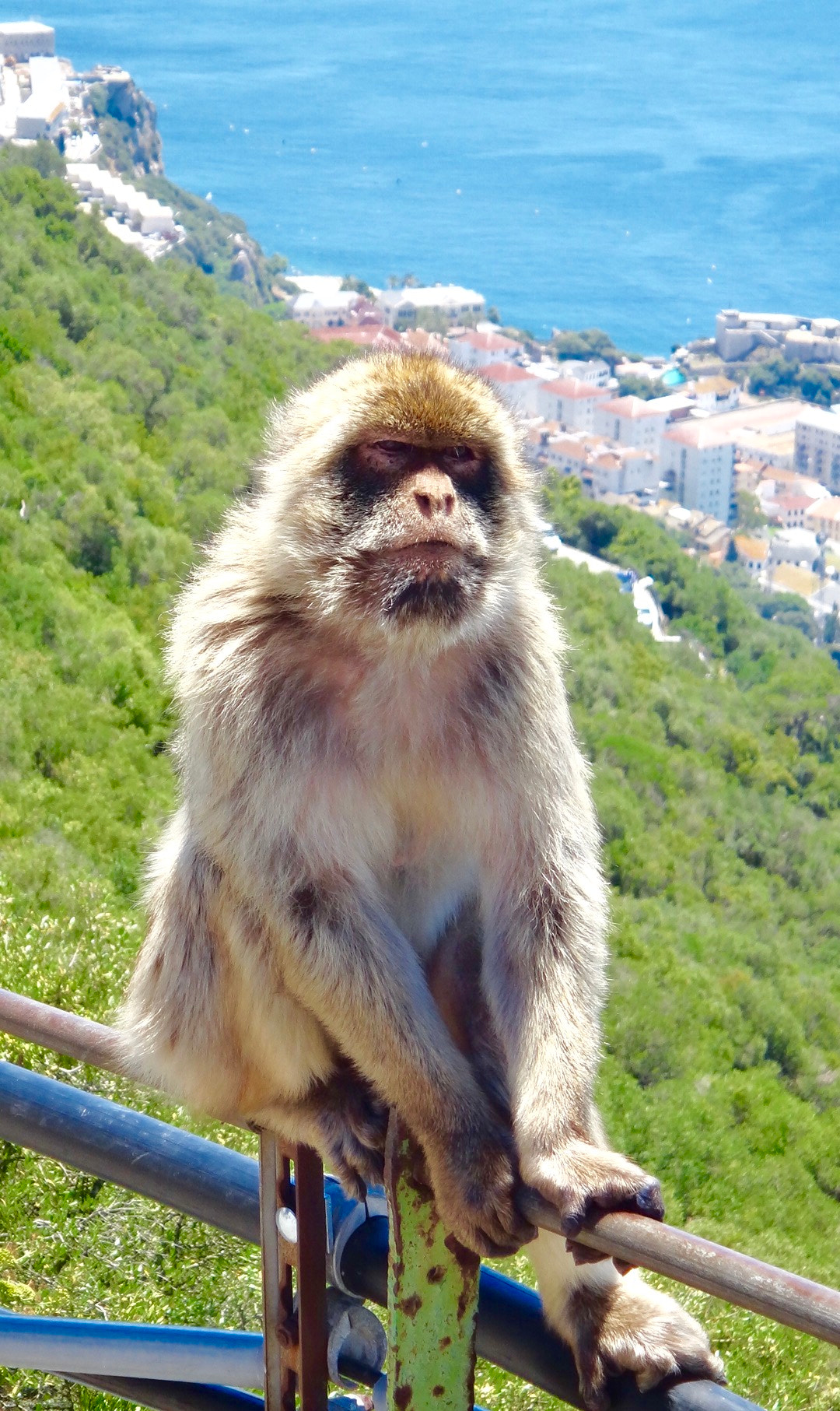 Sony DSC-TX100V sample photo. Gibraltar photography