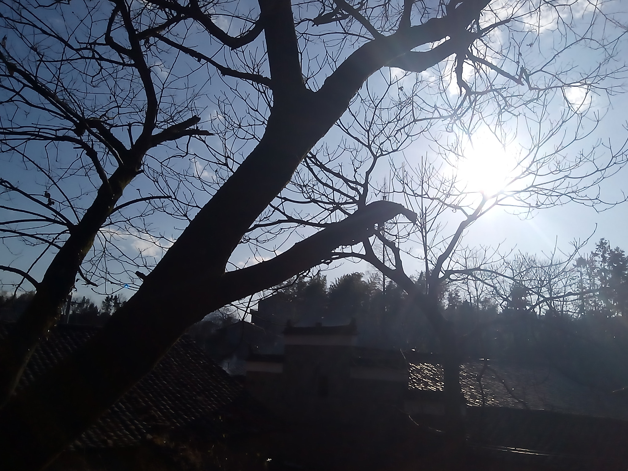 Meizu M3s sample photo