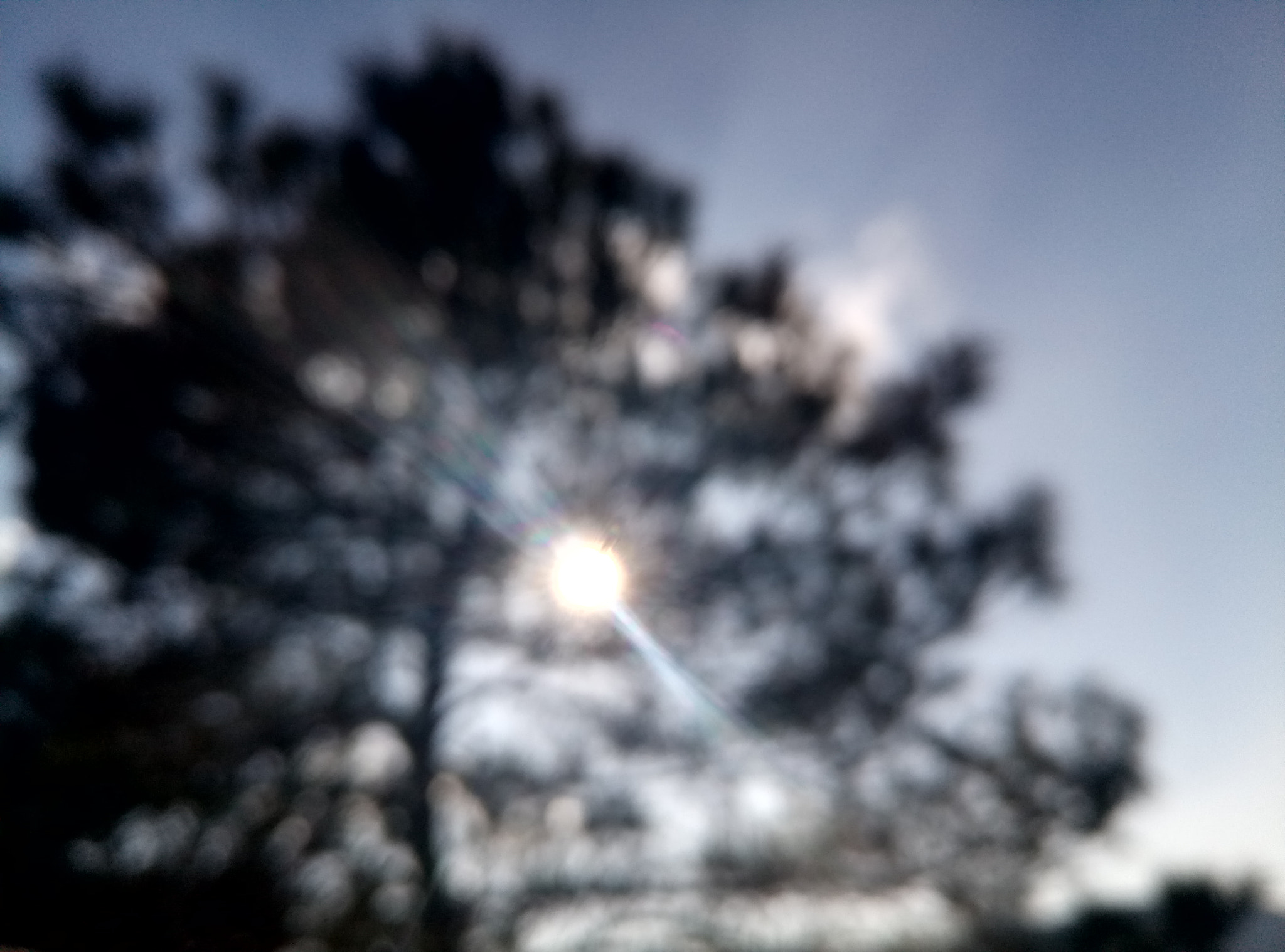 Meizu M3s sample photo