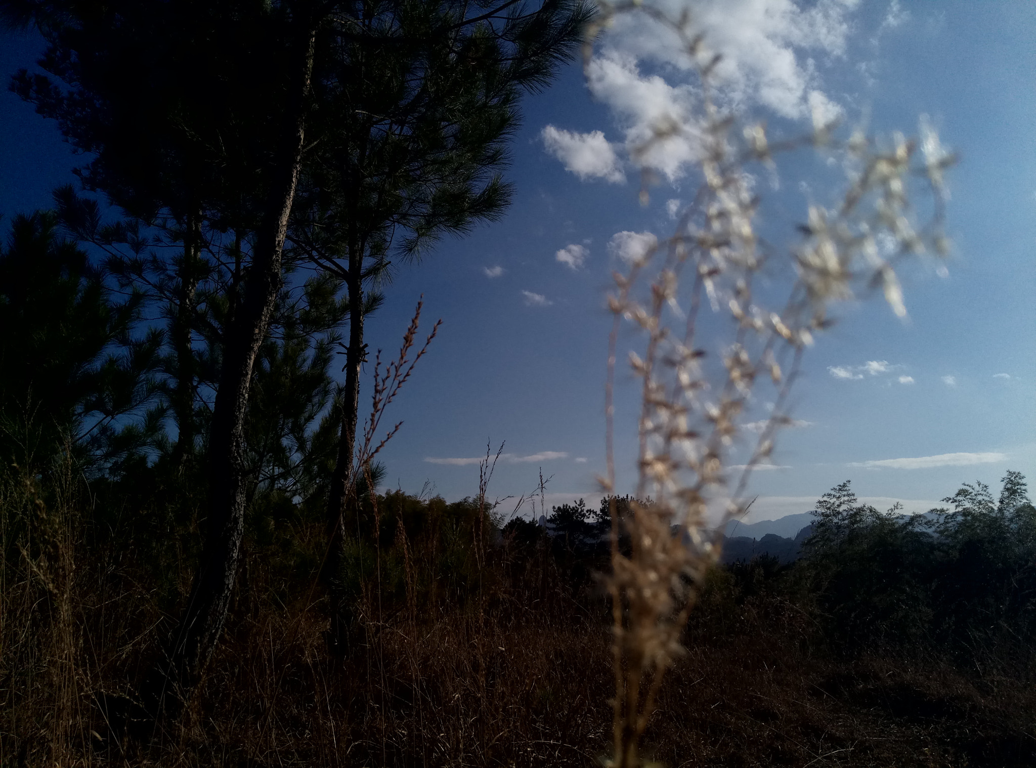 Meizu M3s sample photo