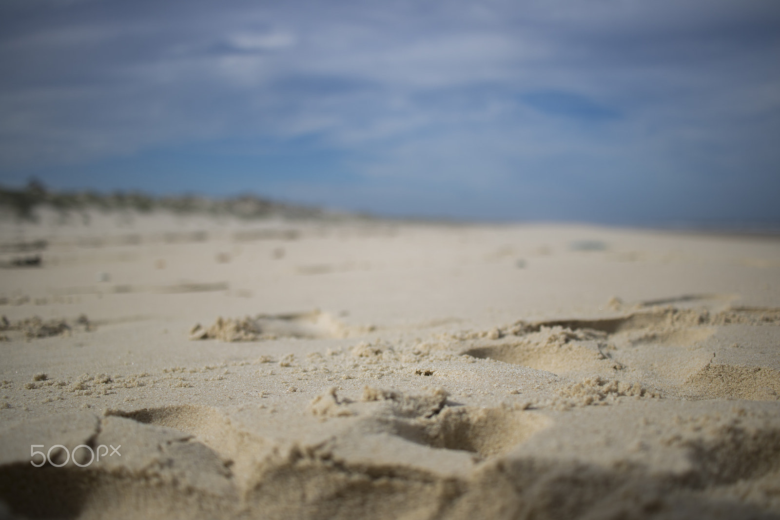 Canon EF-S 24mm F2.8 STM sample photo. Stradbroke beach near focus photography