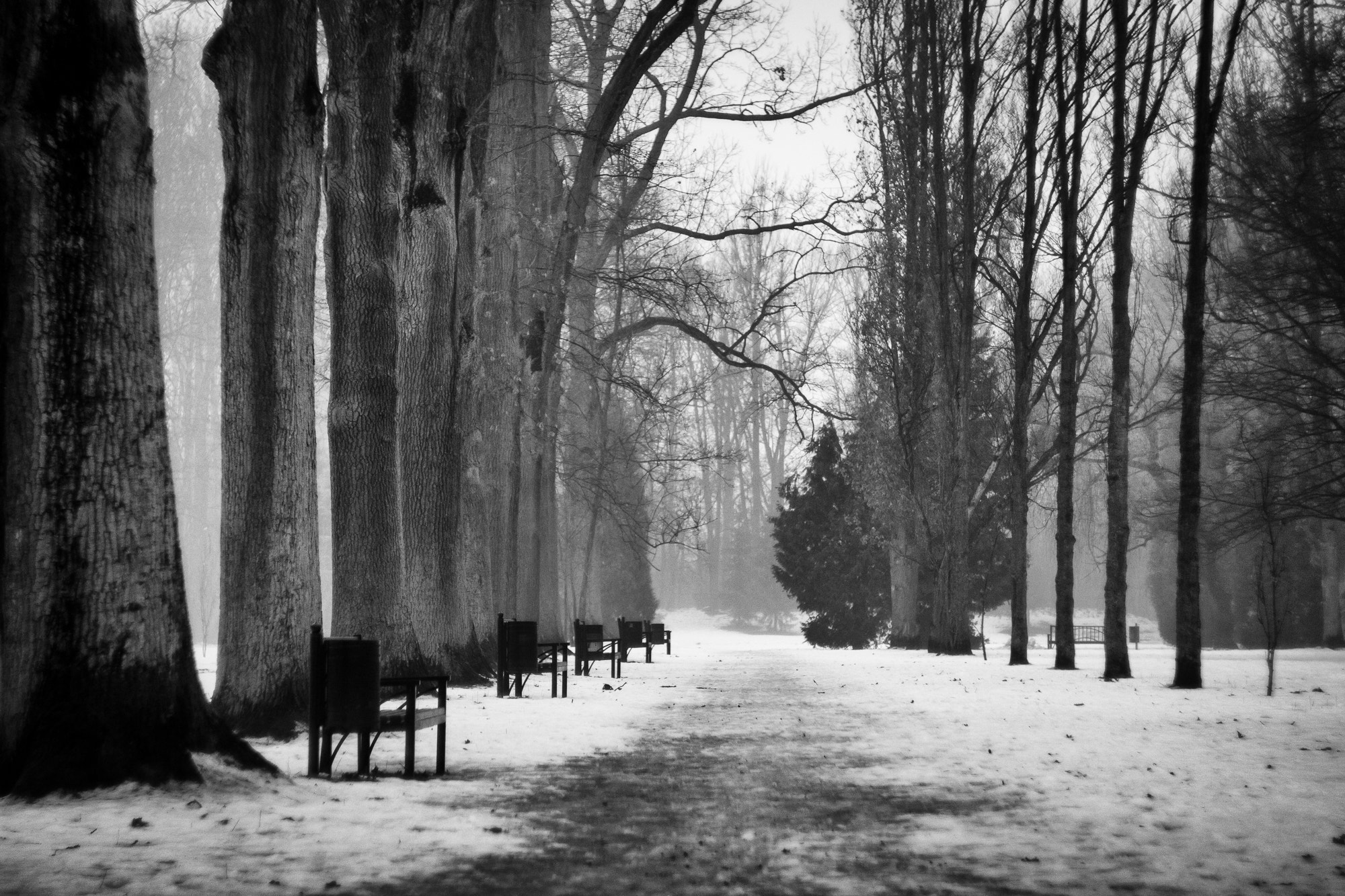 Canon EF 35-80mm f/4-5.6 sample photo. Park alley photography