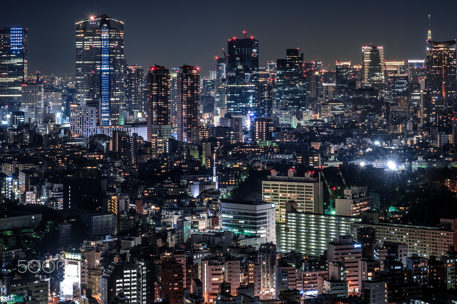 Fujifilm XF 60mm F2.4 R Macro sample photo. Tokyo photography