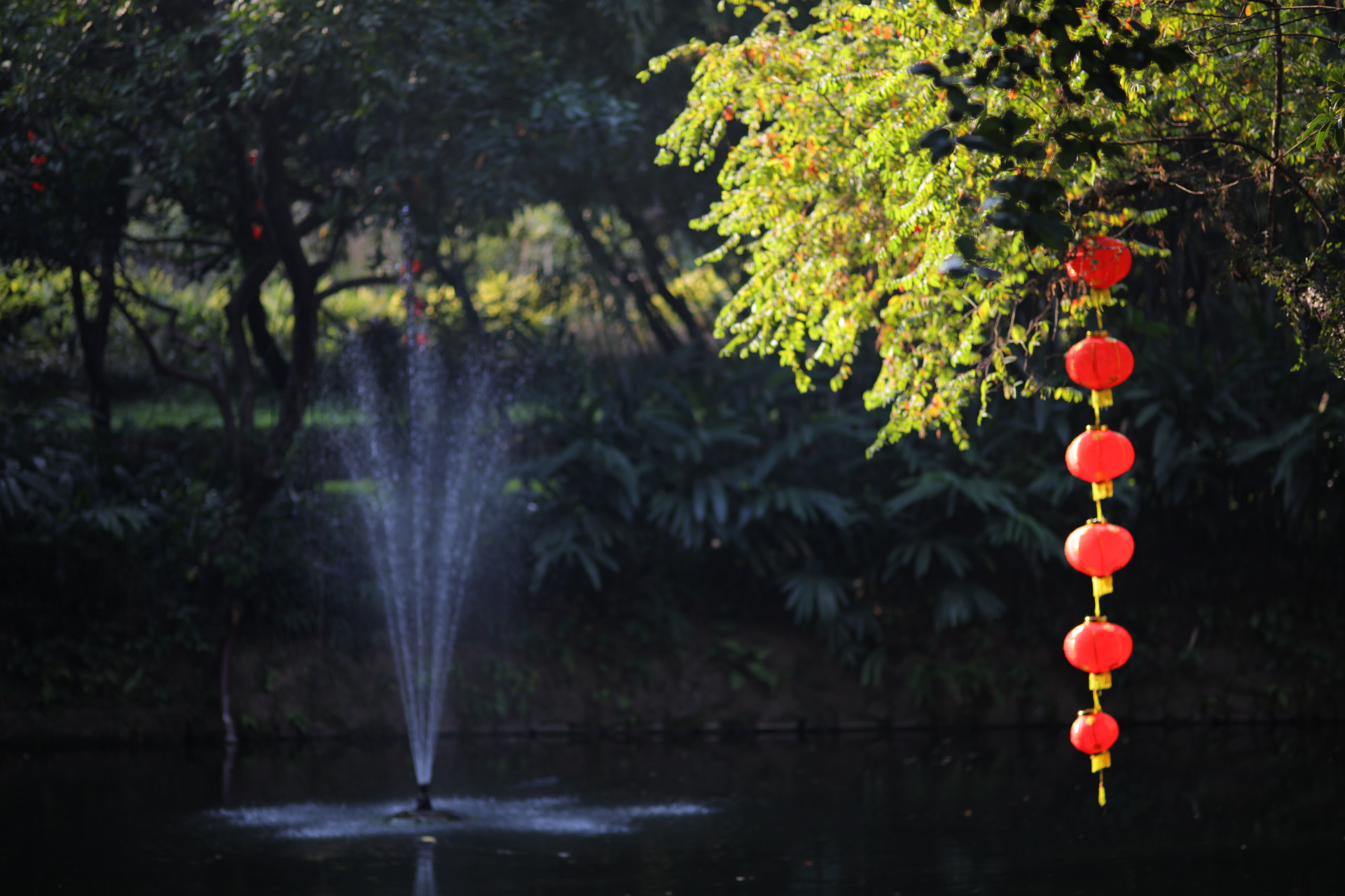 ZEISS Milvus 100mm F2 Macro sample photo. Red lanterns and fountain photography