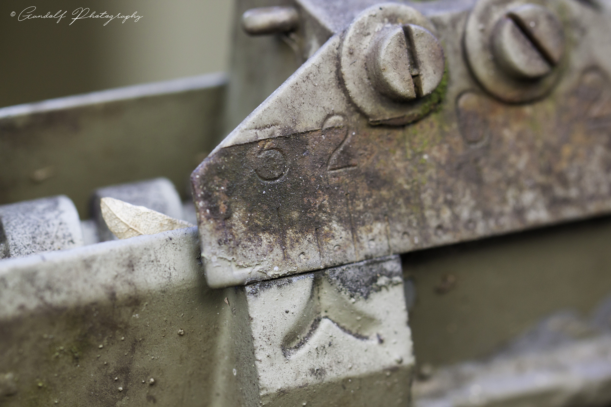 Canon EF 100mm F2.8L Macro IS USM sample photo. Details photography