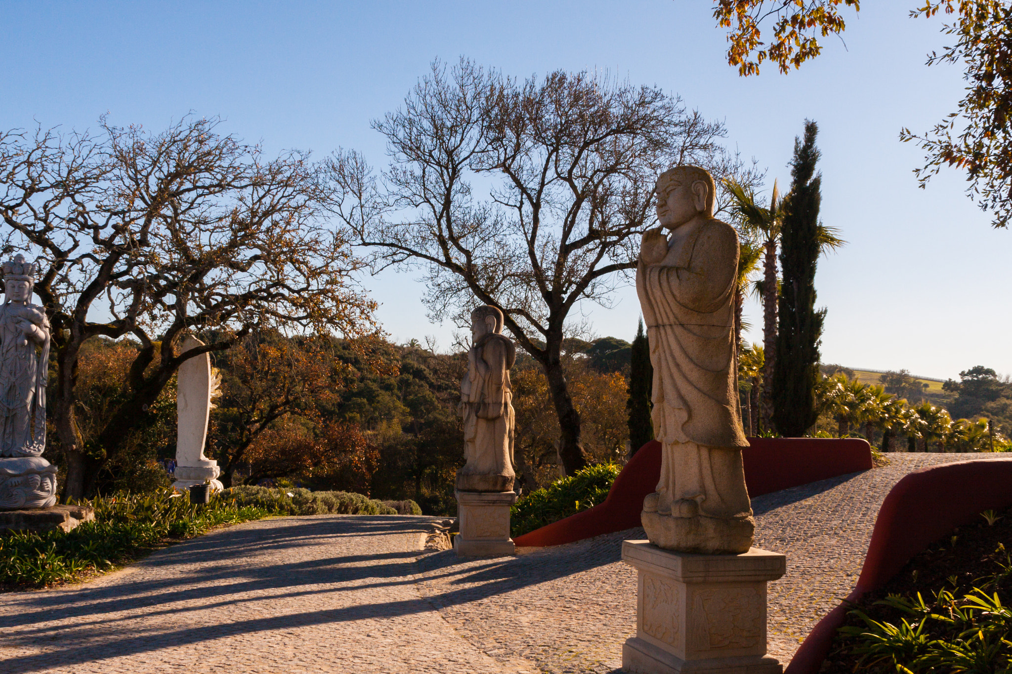 Canon EOS 40D sample photo. Buddha eden photography