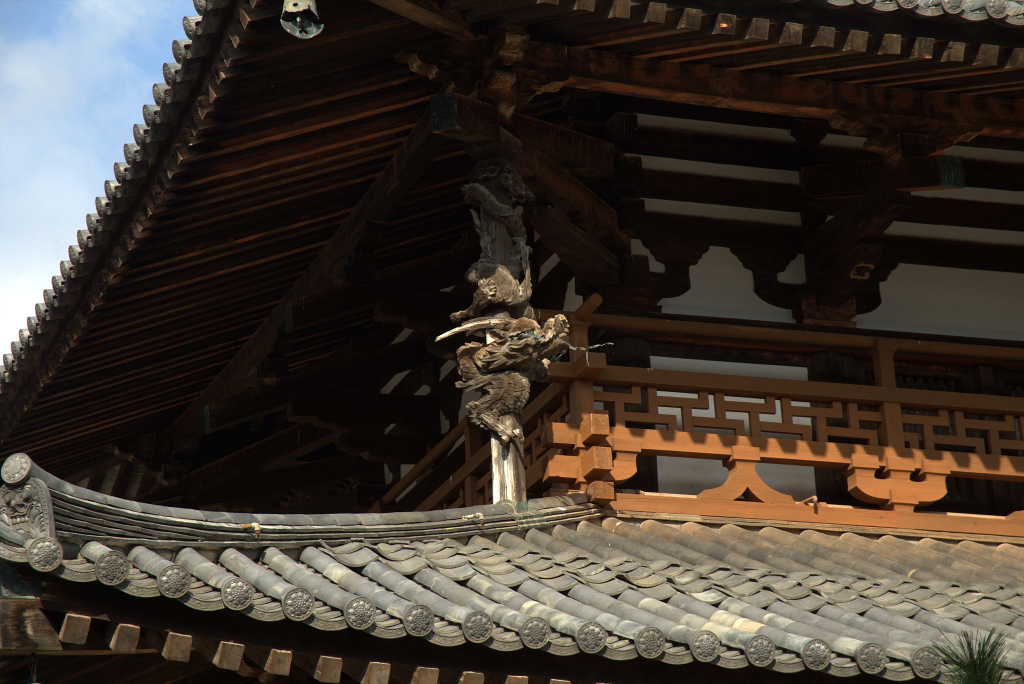 Canon EF 28-105mm f/3.5-4.5 USM sample photo. Horyuji dragon photography