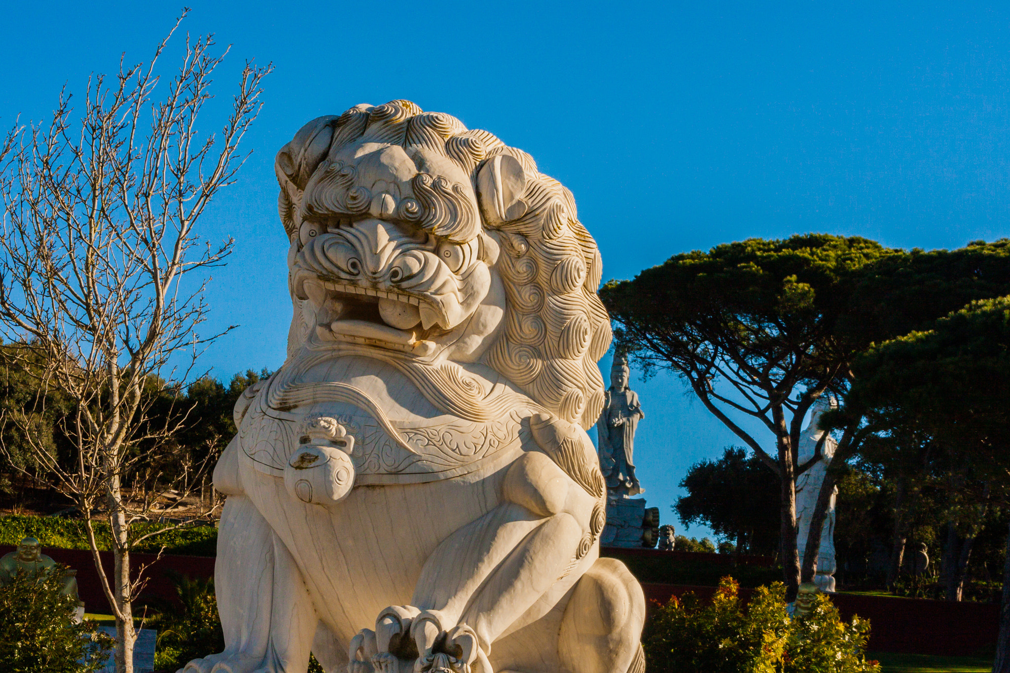 Canon EOS 40D sample photo. Buddha eden photography