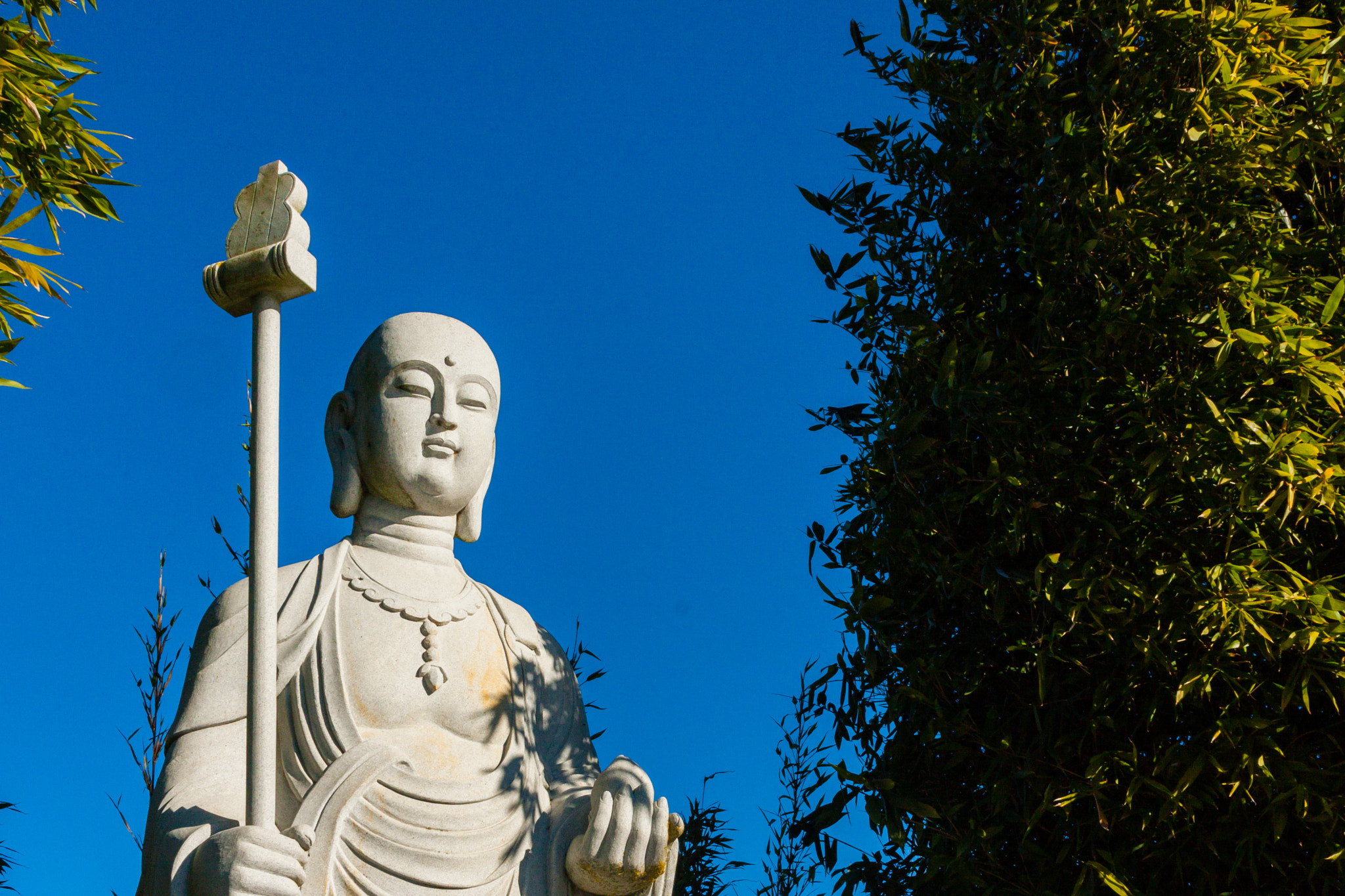 Canon EOS 40D sample photo. Buddha eden photography