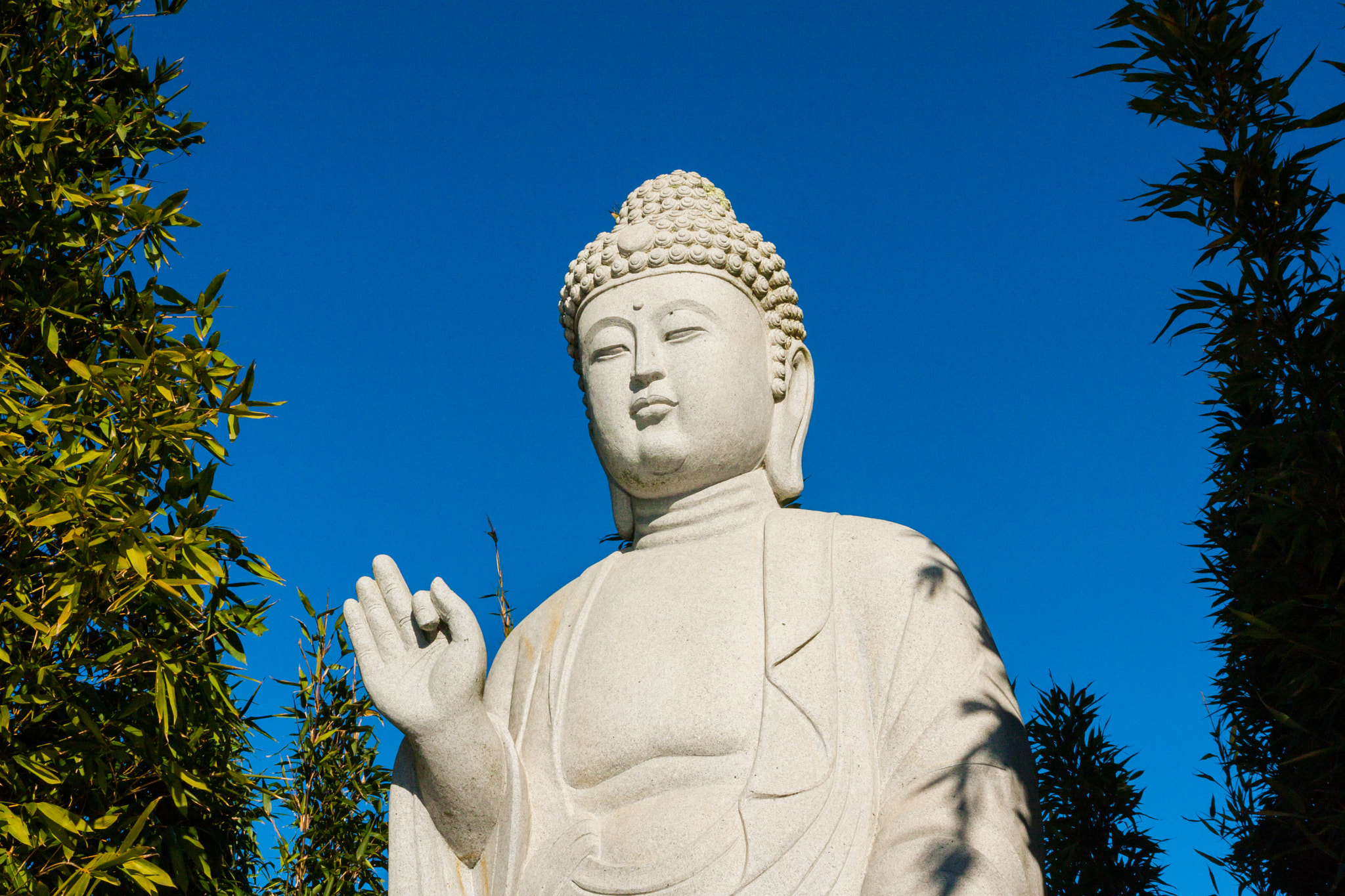 Canon EOS 40D sample photo. Buddha eden photography