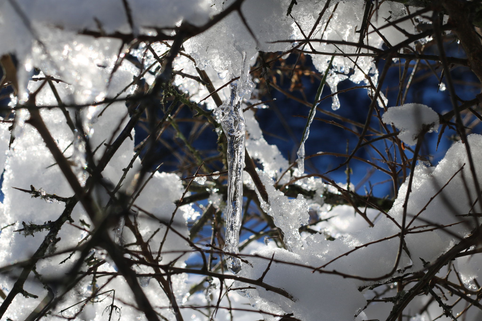 Canon EOS 760D (EOS Rebel T6s / EOS 8000D) + Canon EF 50mm F1.8 II sample photo. Melting snow forming icicles sparkling in the sun photography