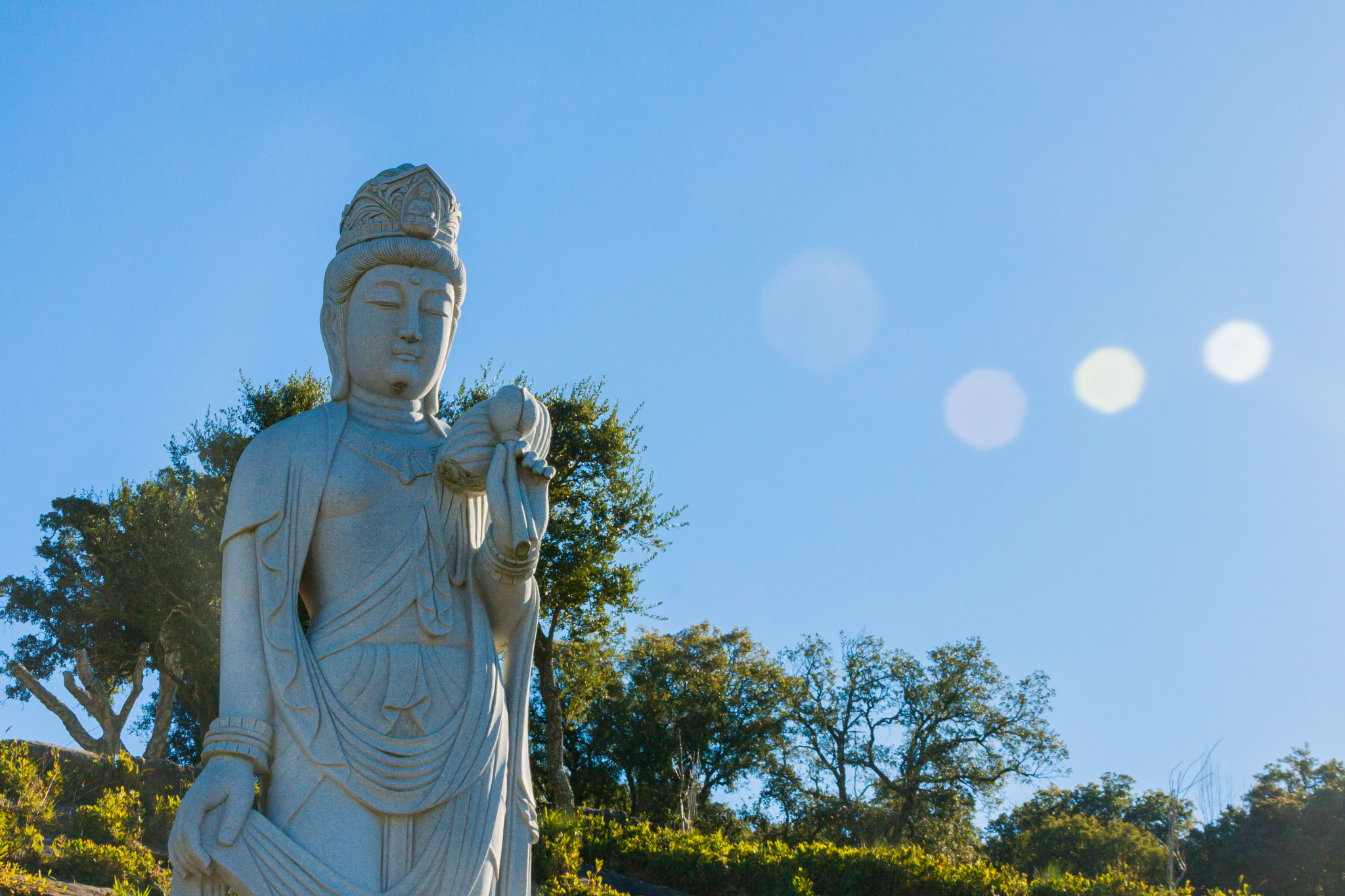 Canon EOS 40D sample photo. Buddha eden photography