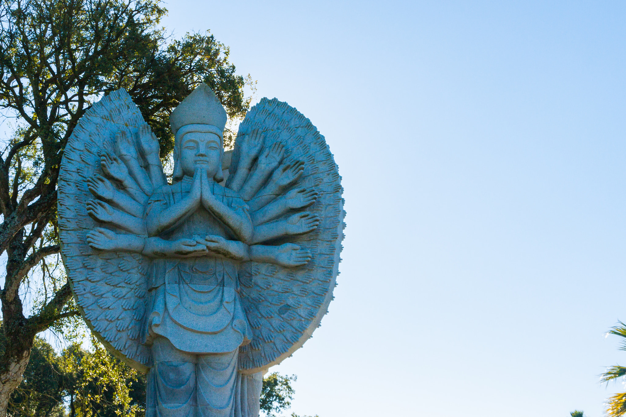 Canon EOS 40D sample photo. Buddha eden photography