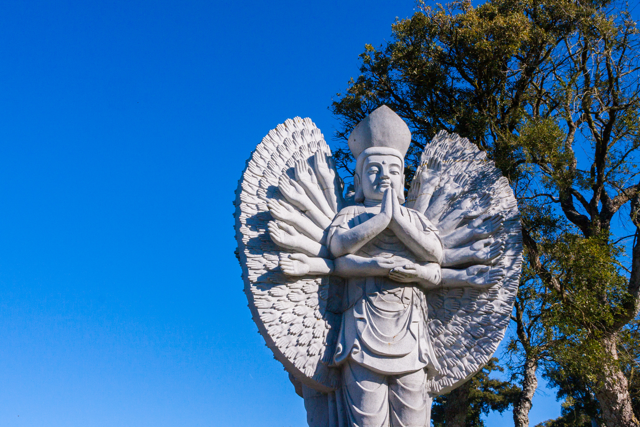 Canon EOS 40D sample photo. Buddha eden photography