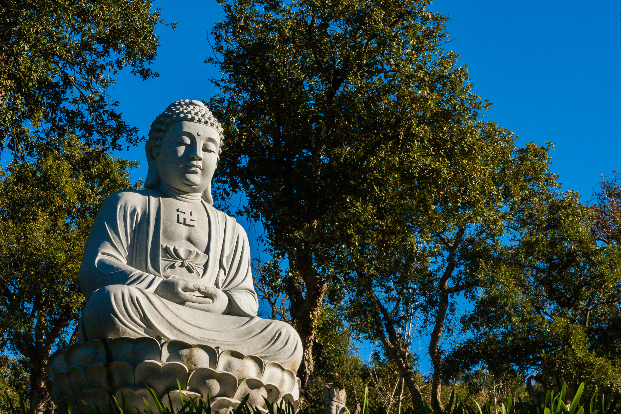 Canon EOS 40D sample photo. Buddha eden photography