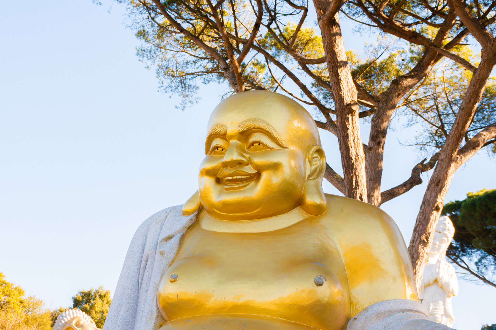 Canon EOS 40D sample photo. Buddha eden photography