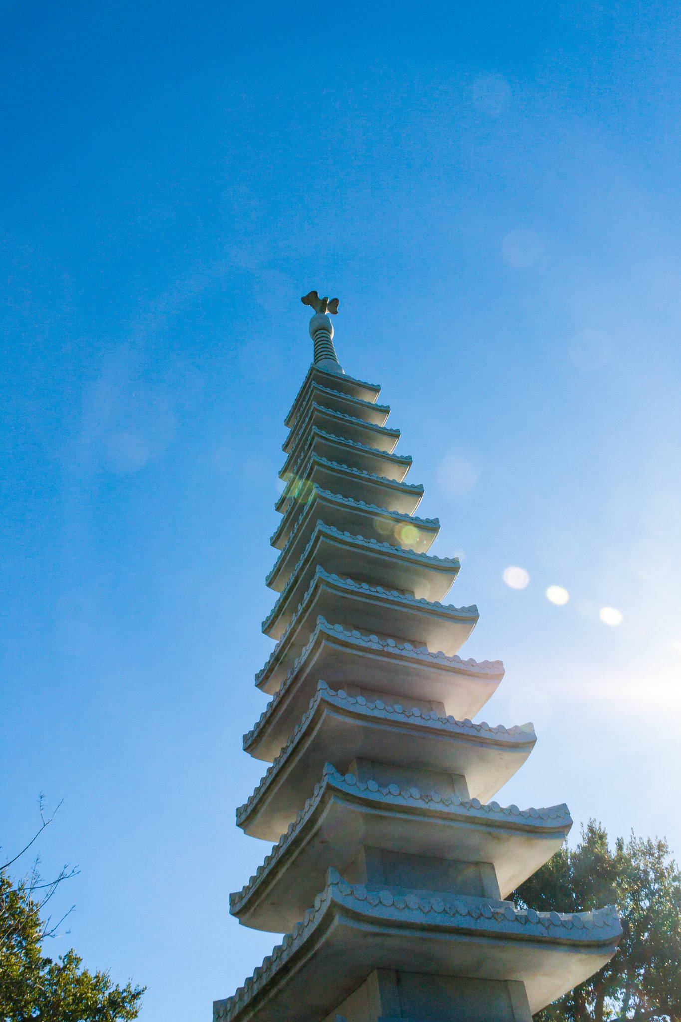 Canon EOS 40D sample photo. Buddha eden photography